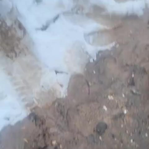 Видео отзыв